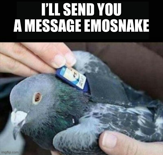 Carrier pigeon | I’LL SEND YOU A MESSAGE EMOSNAKE | image tagged in carrier pigeon | made w/ Imgflip meme maker