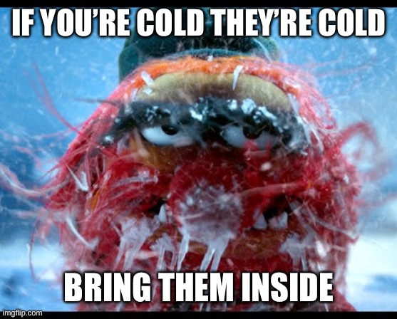 Frozen animal | IF YOU’RE COLD THEY’RE COLD; BRING THEM INSIDE | image tagged in muppet,muppets,animal,cold,winter,snow | made w/ Imgflip meme maker