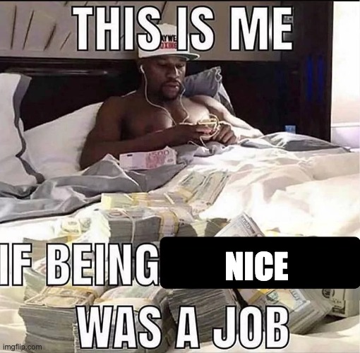 ga chat | NICE | image tagged in this is me if being x was a job | made w/ Imgflip meme maker
