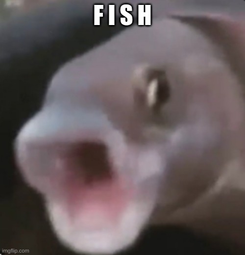 F I S H | F I S H | image tagged in poggers fish | made w/ Imgflip meme maker