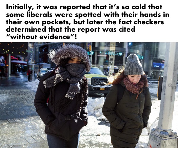 If we use the left’s word salad and methods, will they even get the joke? | Initially, it was reported that it’s so cold that 
some liberals were spotted with their hands in 

their own pockets, but later the fact checkers 
determined that the report was cited 
“without evidence”! | image tagged in pockets | made w/ Imgflip meme maker