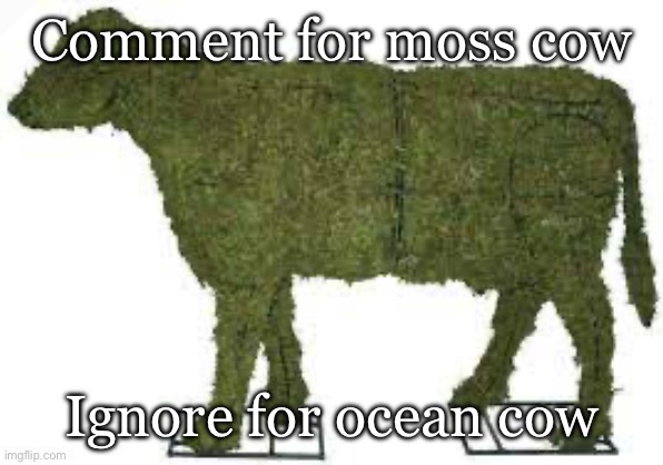 Moss cow | Comment for moss cow; Ignore for ocean cow | image tagged in moss cow | made w/ Imgflip meme maker