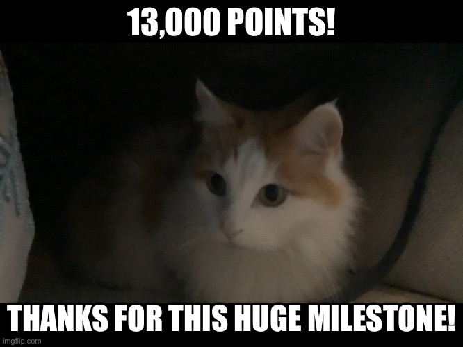 Yaaaaay | 13,000 POINTS! THANKS FOR THIS HUGE MILESTONE! | image tagged in cat,memes | made w/ Imgflip meme maker