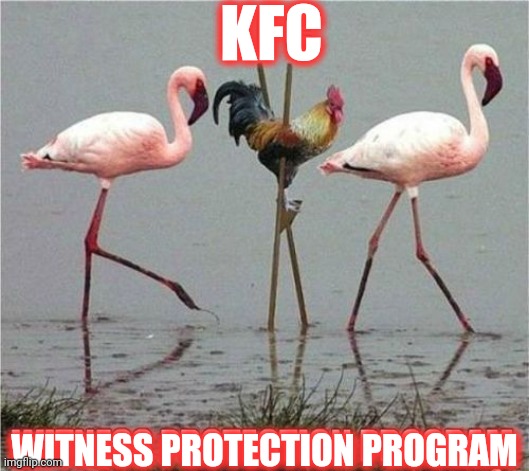 Fast food lore | KFC; WITNESS PROTECTION PROGRAM | image tagged in kfc,fast food,chickens | made w/ Imgflip meme maker