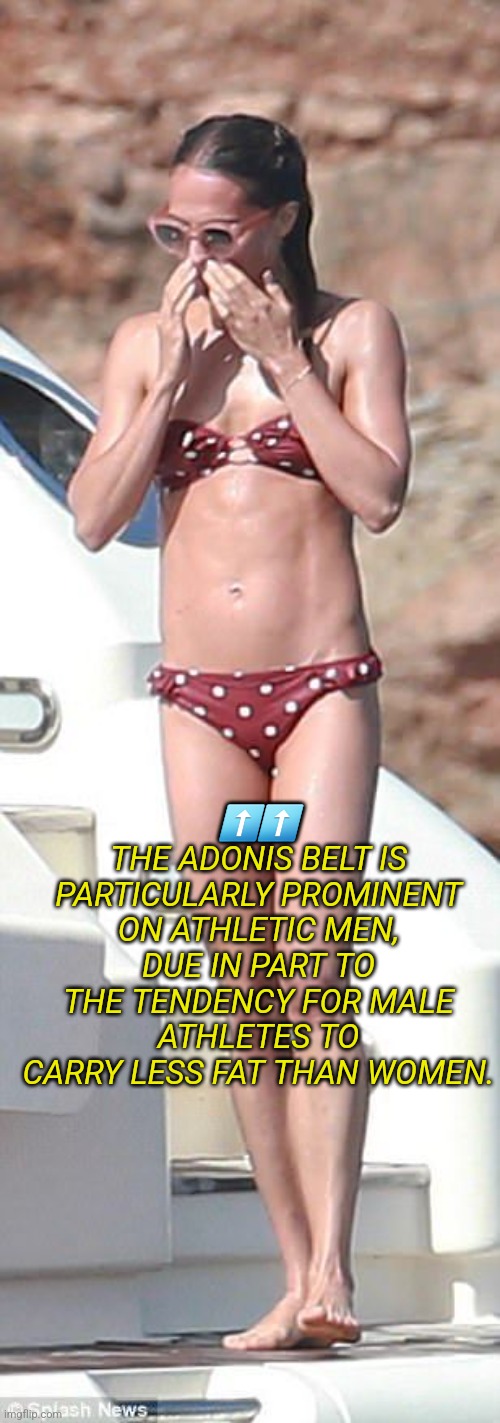 Adonis belt transgender | ⬆️⬆️
THE ADONIS BELT IS PARTICULARLY PROMINENT ON ATHLETIC MEN, DUE IN PART TO THE TENDENCY FOR MALE ATHLETES TO CARRY LESS FAT THAN WOMEN. | image tagged in adonis belt transgender | made w/ Imgflip meme maker