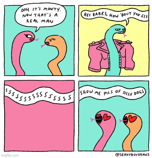 SSSSSS | image tagged in snakes,snake,dogs,jacket,comics,comics/cartoons | made w/ Imgflip meme maker