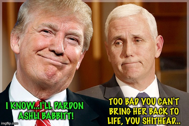 We know who's really responsible. | I KNOW...I'LL PARDON 
ASHLI BABBITT! TOO BAD YOU CAN'T BRING HER BACK TO LIFE, YOU SHITHEAD... | image tagged in trump pence pinky and the brain | made w/ Imgflip meme maker