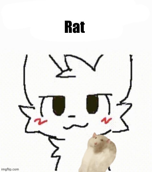 Rat | Rat | image tagged in rat | made w/ Imgflip meme maker