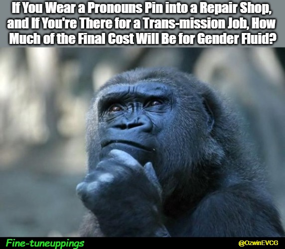 Fine-tuneuppings | If You Wear a Pronouns Pin into a Repair Shop, 
and If You're There for a Trans-mission Job, How 
Much of the Final Cost Will Be for Gender Fluid? Fine-tuneuppings; @OzwinEVCG | image tagged in deep thoughts,groan puns,car repair,fun puns,brain repair,clownworld 2020s | made w/ Imgflip meme maker
