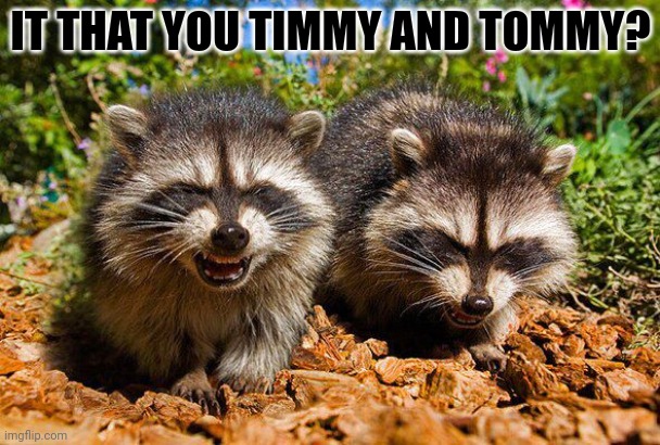 Animal crossing?! | IT THAT YOU TIMMY AND TOMMY? | image tagged in timmy,and,tommy,animal crossing | made w/ Imgflip meme maker