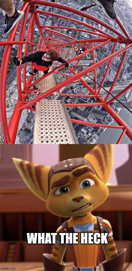 You meet the daredevils again | WHAT THE HECK | image tagged in lattice climbing,ratchet,meme,template,ratchet and clank,klettern | made w/ Imgflip meme maker