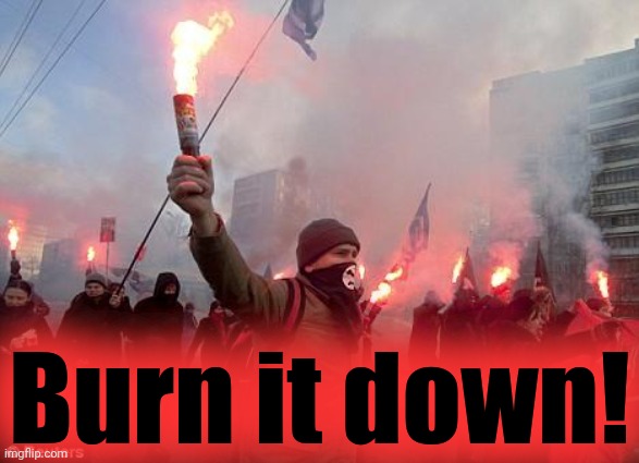 2024 free preview | Burn it down! | image tagged in protest,stop it get some help,2024,preview | made w/ Imgflip meme maker