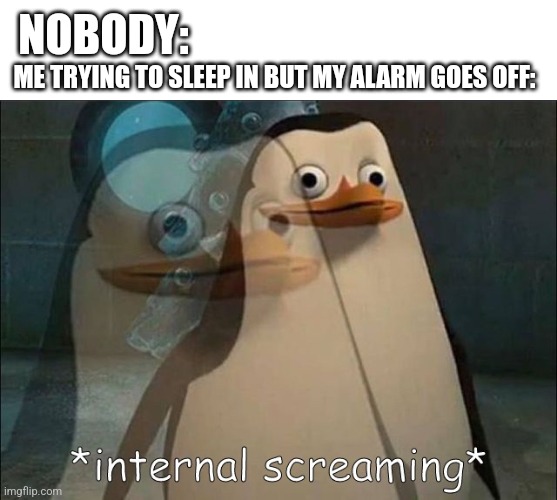Private Internal Screaming | NOBODY:; ME TRYING TO SLEEP IN BUT MY ALARM GOES OFF: | image tagged in private internal screaming | made w/ Imgflip meme maker
