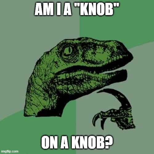 Philosoraptor Meme | AM I A "KNOB"; ON A KNOB? | image tagged in memes,philosoraptor | made w/ Imgflip meme maker