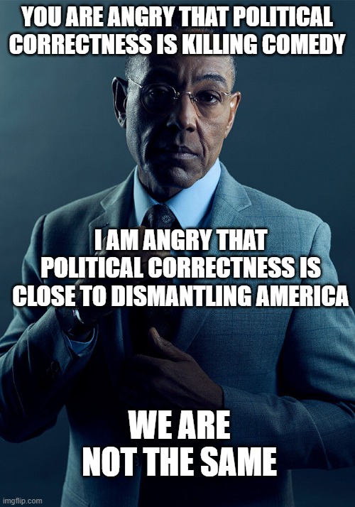 Political Correctness Kills | YOU ARE ANGRY THAT POLITICAL CORRECTNESS IS KILLING COMEDY; I AM ANGRY THAT POLITICAL CORRECTNESS IS CLOSE TO DISMANTLING AMERICA; WE ARE NOT THE SAME | image tagged in gus fring we are not the same,political correctness | made w/ Imgflip meme maker