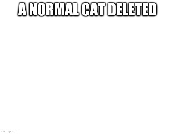 Blank White Template | A NORMAL CAT DELETED | image tagged in blank white template | made w/ Imgflip meme maker