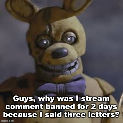 I know yall don't want me saying the k word but that's just too far | Guys, why was I stream comment banned for 2 days because I said three letters? | image tagged in springbonnie | made w/ Imgflip meme maker