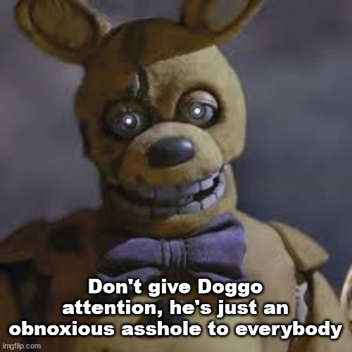 Springbonnie | Don't give Doggo attention, he's just an obnoxious asshole to everybody | image tagged in springbonnie | made w/ Imgflip meme maker