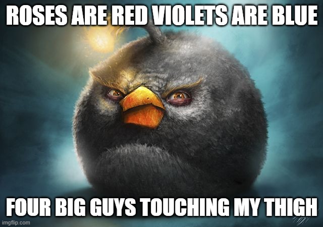 angry birds bomb | ROSES ARE RED VIOLETS ARE BLUE; FOUR BIG GUYS TOUCHING MY THIGH | image tagged in angry birds bomb | made w/ Imgflip meme maker