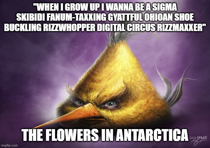 Realistic yellow angry bird | "WHEN I GROW UP I WANNA BE A SIGMA SKIBIDI FANUM-TAXXING GYATTFUL OHIOAN SHOE BUCKLING RIZZWHOPPER DIGITAL CIRCUS RIZZMAXXER"; THE FLOWERS IN ANTARCTICA | image tagged in realistic yellow angry bird | made w/ Imgflip meme maker