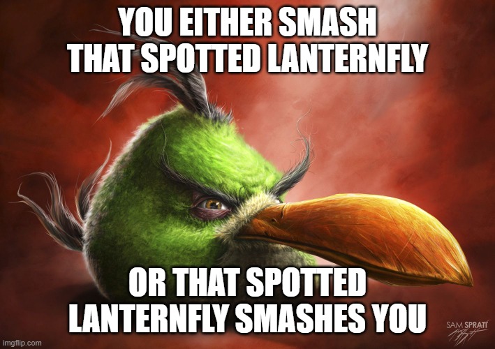 Realistic Angry Bird | YOU EITHER SMASH THAT SPOTTED LANTERNFLY; OR THAT SPOTTED LANTERNFLY SMASHES YOU | image tagged in realistic angry bird | made w/ Imgflip meme maker
