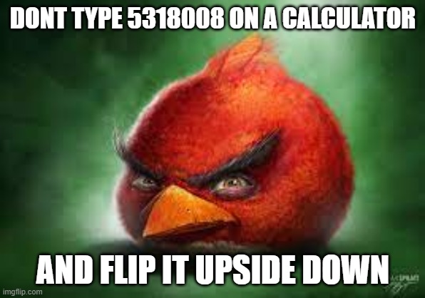 Realistic Red Angry Birds | DONT TYPE 5318008 ON A CALCULATOR; AND FLIP IT UPSIDE DOWN | image tagged in realistic red angry birds | made w/ Imgflip meme maker