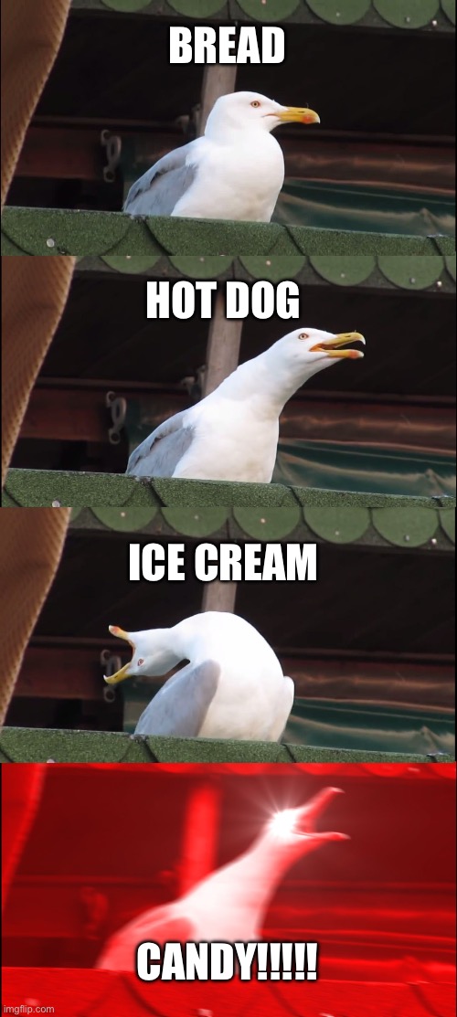 Inhaling Seagull Meme | BREAD; HOT DOG; ICE CREAM; CANDY!!!!! | image tagged in memes,inhaling seagull,food,seagull,candy,ice cream | made w/ Imgflip meme maker