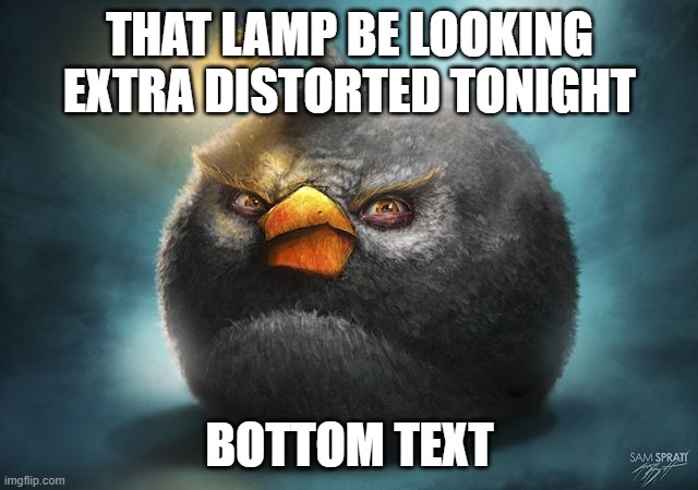 angry birds bomb | THAT LAMP BE LOOKING EXTRA DISTORTED TONIGHT; BOTTOM TEXT | image tagged in angry birds bomb | made w/ Imgflip meme maker