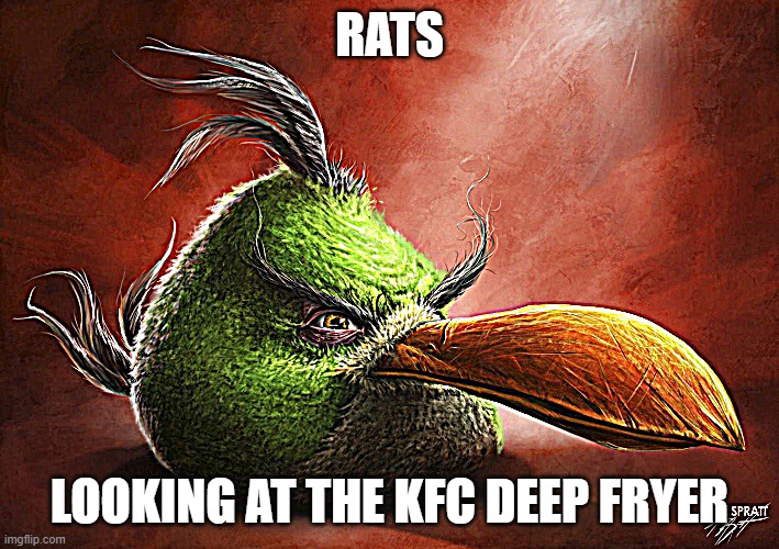 Realistic Angry Bird | RATS; LOOKING AT THE KFC DEEP FRYER | image tagged in realistic angry bird | made w/ Imgflip meme maker