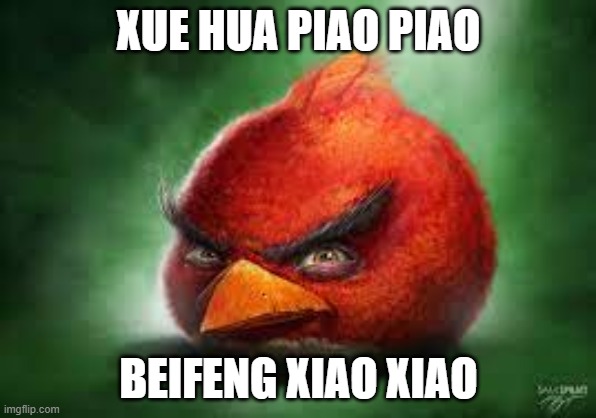Realistic Red Angry Birds | XUE HUA PIAO PIAO; BEIFENG XIAO XIAO | image tagged in realistic red angry birds | made w/ Imgflip meme maker