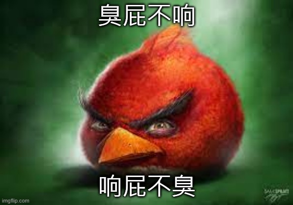 Realistic Red Angry Birds | 臭屁不响; 响屁不臭 | image tagged in realistic red angry birds | made w/ Imgflip meme maker