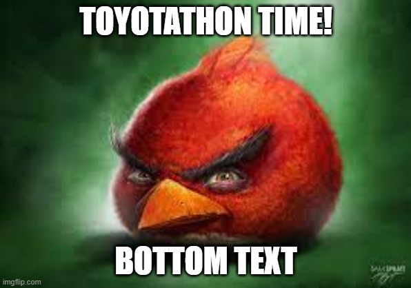 ((Mod note: this no band meme but angry birds does have music so... i'll alow it)) | TOYOTATHON TIME! BOTTOM TEXT | image tagged in realistic red angry birds | made w/ Imgflip meme maker