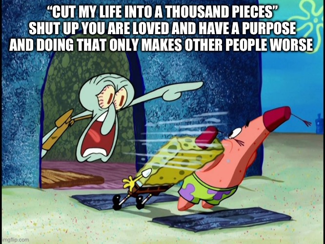 you can completely ignore this if you don’t know the reference from earlier | “CUT MY LIFE INTO A THOUSAND PIECES” SHUT UP YOU ARE LOVED AND HAVE A PURPOSE AND DOING THAT ONLY MAKES OTHER PEOPLE WORSE | image tagged in squidward screaming | made w/ Imgflip meme maker
