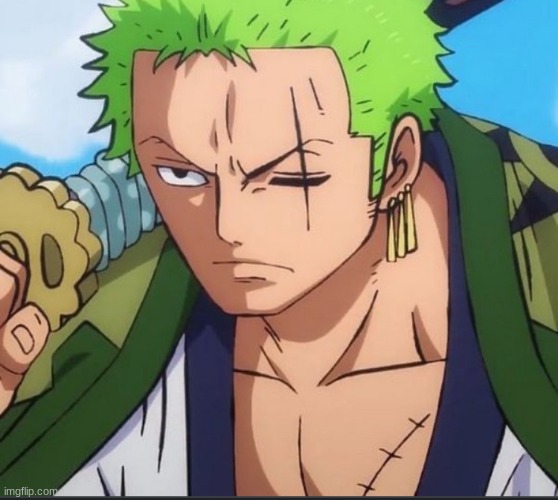 Zoro shit crazy | image tagged in zoro shit crazy | made w/ Imgflip meme maker
