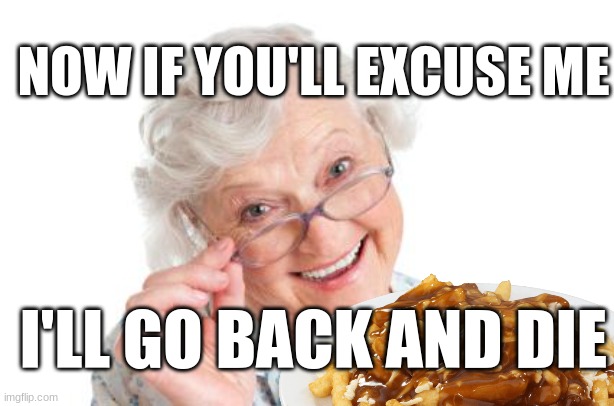 Grandma that's nice cool story bro | I'LL GO BACK AND DIE NOW IF YOU'LL EXCUSE ME | image tagged in grandma that's nice cool story bro | made w/ Imgflip meme maker