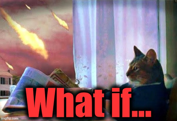 End of world cat | What if... | image tagged in end of world cat | made w/ Imgflip meme maker