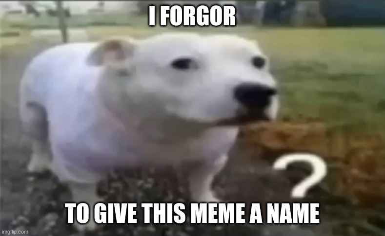 ? | I FORGOR TO GIVE THIS MEME A NAME | made w/ Imgflip meme maker