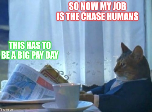 Jroc113 | SO NOW MY JOB IS THE CHASE HUMANS; THIS HAS TO BE A BIG PAY DAY | image tagged in rats | made w/ Imgflip meme maker