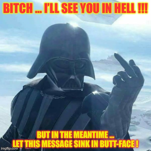 FOOK U !!!  : ) | BITCH … I’LL SEE YOU IN HELL !!! BUT IN THE MEANTIME …
LET THIS MESSAGE SINK IN BUTT-FACE ! | image tagged in darth vader flips you off | made w/ Imgflip meme maker