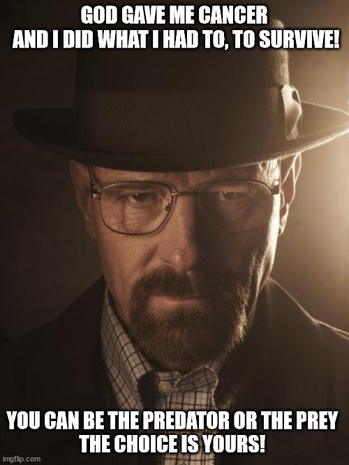 Walter White | GOD GAVE ME CANCER
 AND I DID WHAT I HAD TO, TO SURVIVE! YOU CAN BE THE PREDATOR OR THE PREY 
THE CHOICE IS YOURS! | image tagged in walter white | made w/ Imgflip meme maker