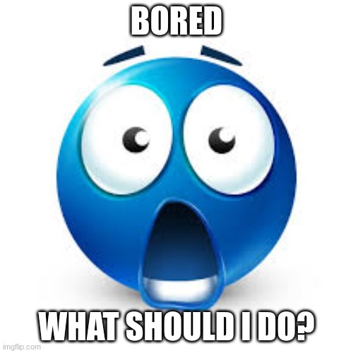 . | BORED; WHAT SHOULD I DO? | image tagged in shocked blue guy | made w/ Imgflip meme maker