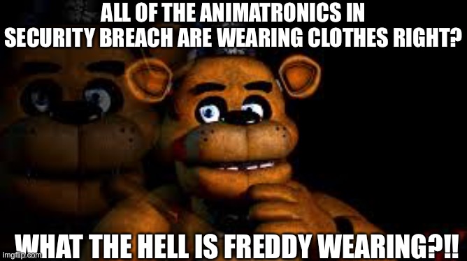 Am I right? | ALL OF THE ANIMATRONICS IN SECURITY BREACH ARE WEARING CLOTHES RIGHT? WHAT THE HELL IS FREDDY WEARING?!! | image tagged in five nights at freddys,freddy fazbear | made w/ Imgflip meme maker