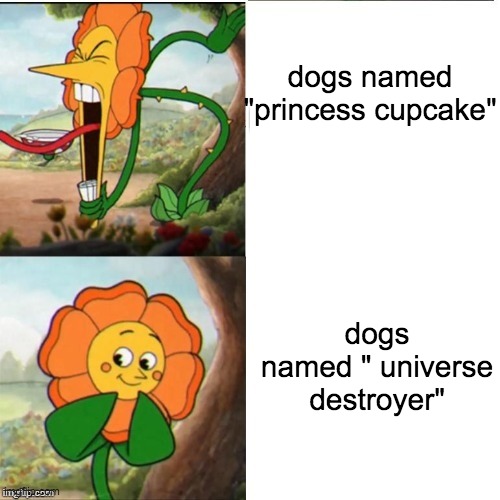 dogs named princess cucpake vs universe destroyer | dogs named "princess cupcake"; dogs named " universe destroyer" | image tagged in yelling flower | made w/ Imgflip meme maker