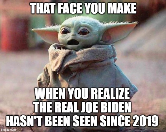 Surprised Baby Yoda | THAT FACE YOU MAKE WHEN YOU REALIZE THE REAL JOE BIDEN HASN'T BEEN SEEN SINCE 2019 | image tagged in surprised baby yoda | made w/ Imgflip meme maker