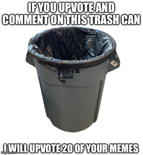 Upvote Trash Can | IF YOU UPVOTE AND COMMENT ON THIS TRASH CAN; I WILL UPVOTE 20 OF YOUR MEMES | image tagged in trash can,upvotes,help me | made w/ Imgflip meme maker