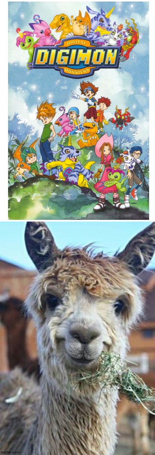 Even Llamas love Digimon | image tagged in happy llama | made w/ Imgflip meme maker