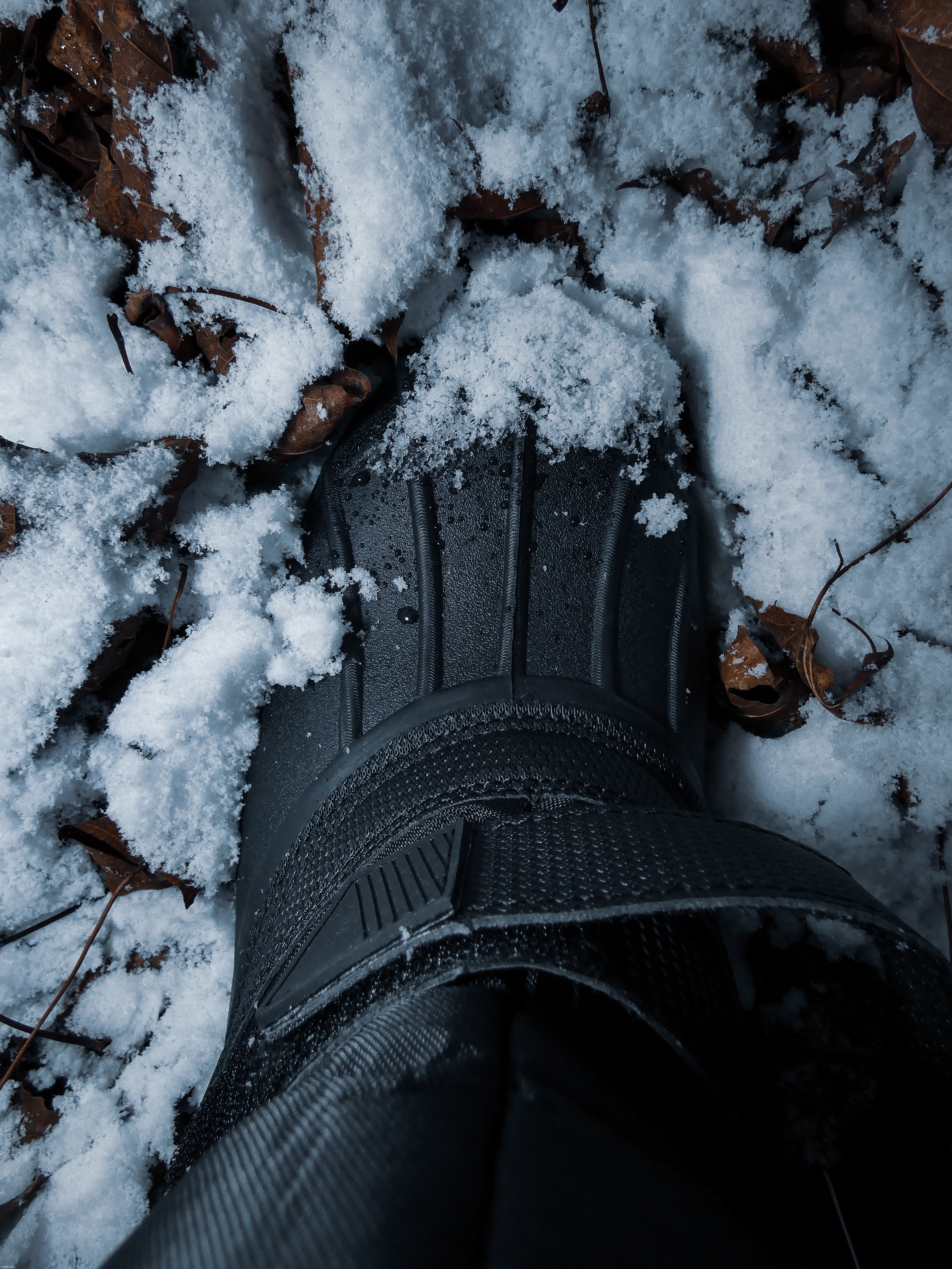 Boot in the Snow -- This was taken yesterday when Winter Storm Ember came through our area, check the comments | image tagged in share your own photos,photographer | made w/ Imgflip meme maker
