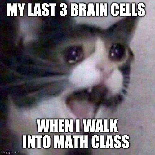 Screaming cat | MY LAST 3 BRAIN CELLS; WHEN I WALK INTO MATH CLASS | image tagged in screaming cat | made w/ Imgflip meme maker