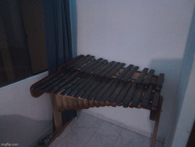 got a whole fricking marimba for my birthday | image tagged in marimba pacifico,birthday present | made w/ Imgflip meme maker
