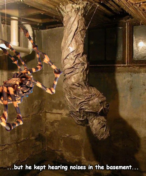 should have followed his instinct | ...but he kept hearing noises in the basement... | image tagged in memes,dark humor | made w/ Imgflip meme maker